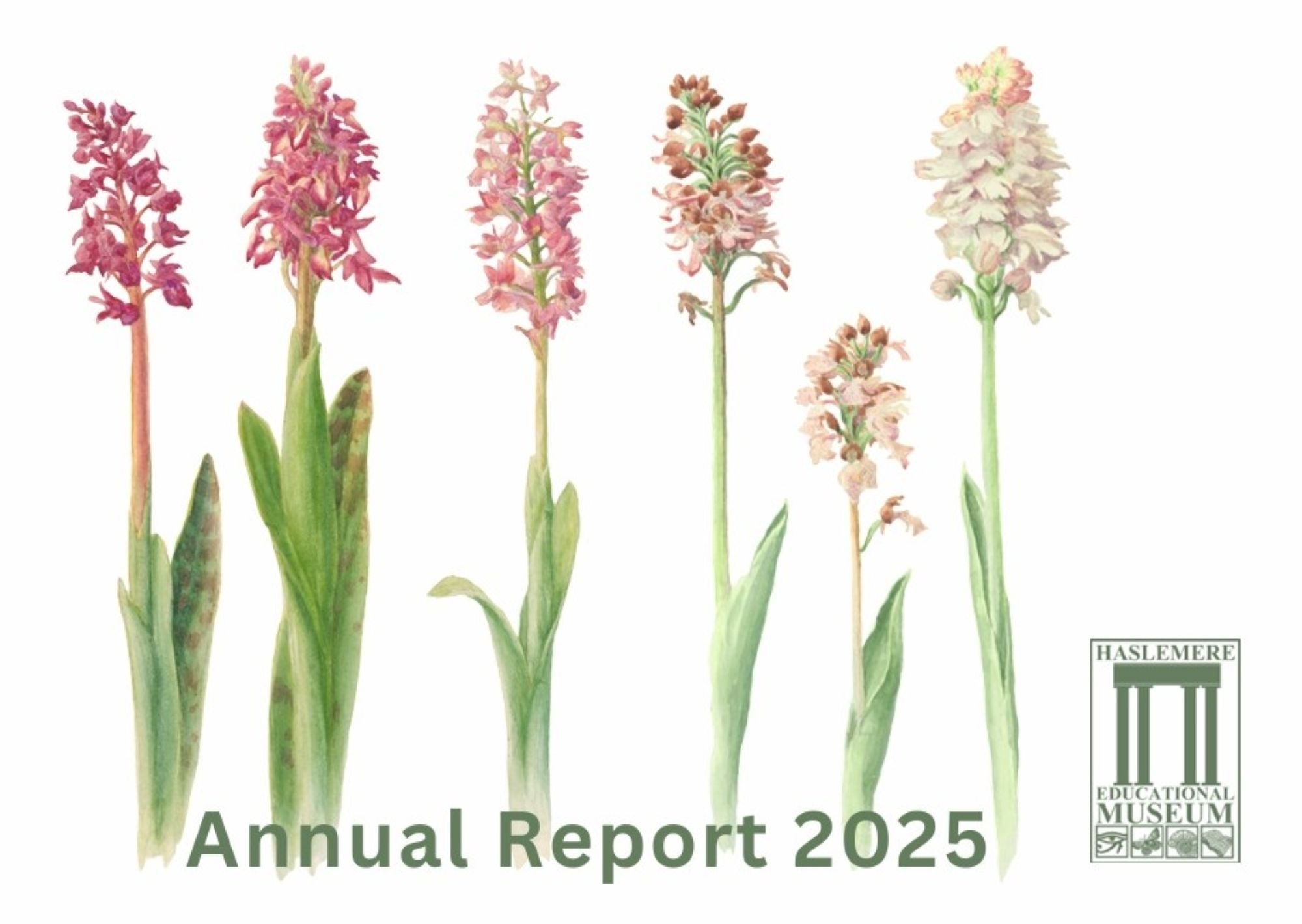 Annual Report 2025